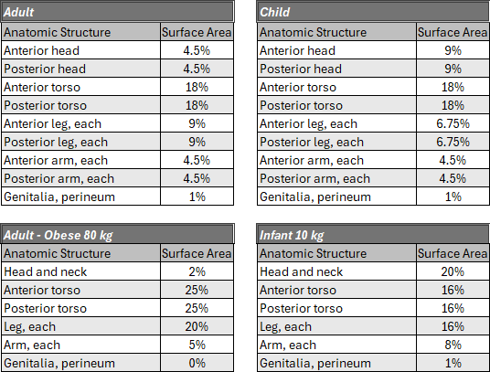 Burn Scale
