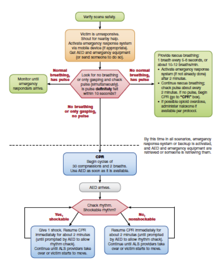 CPR-AED Flow Chart